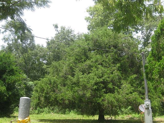 5th image of 18767 Cr 136 Live Oak