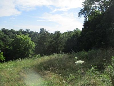 0 Hammonds Rd, Ewing, KY, 41039