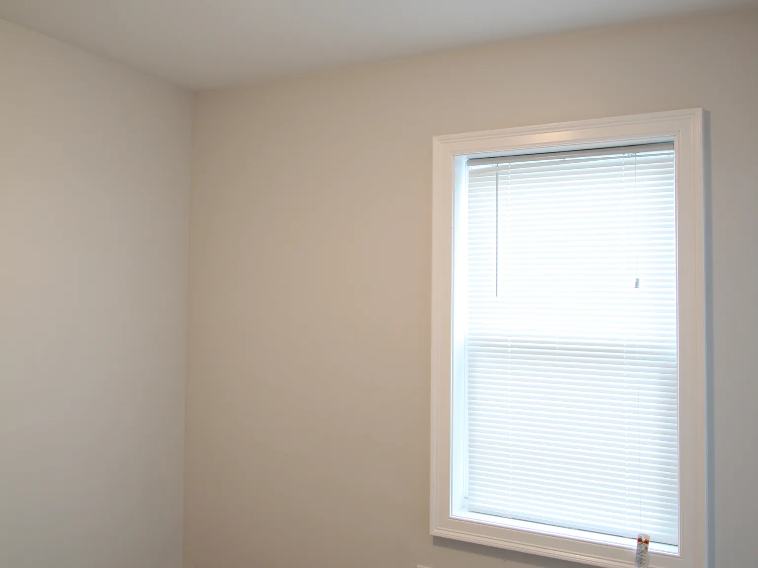 7 bed, 815 sqft, $1,175 — Photo 4