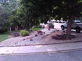driveway and xeriscape