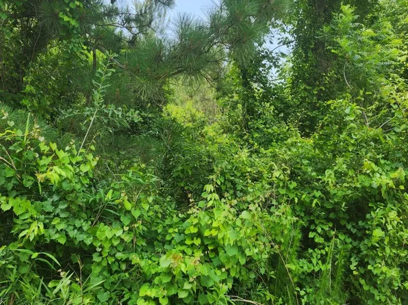 0 Larkin, Rocky Point, NC 28457