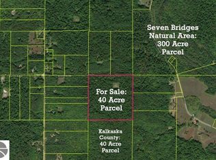 NW Morrison Rd, Rapid City, MI 49676