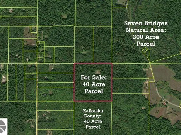NW Morrison Rd, Rapid City, MI 49676