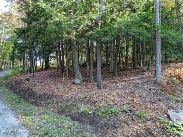 Lots 34 36 Lake View Rd, Hinsdale, MA 01235