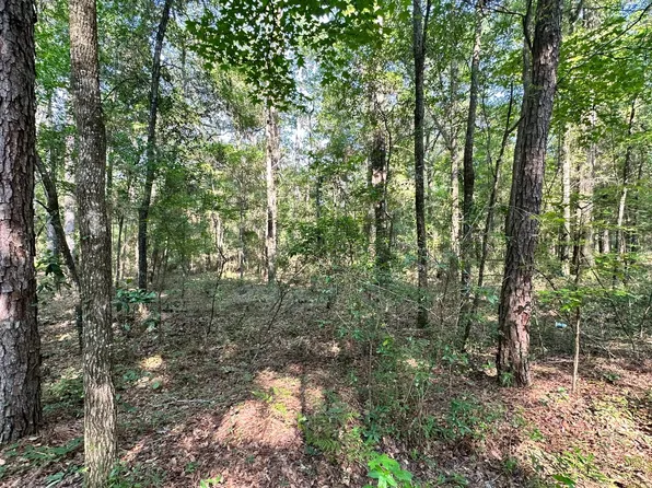175th Dr Lot 10, Live Oak, FL 32060