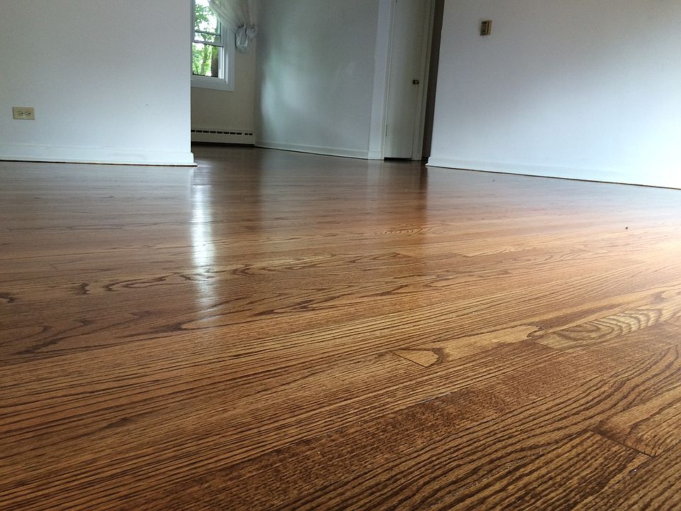 1st image of 1555 Monroe Ave APT 3