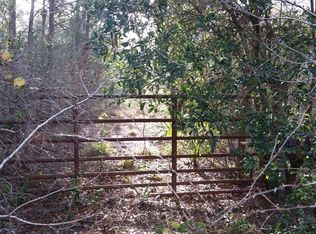 297 Elizabeth Ln, Osteen, FL 32764