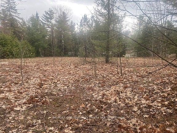 3rd image of LOT 514 Tall Pines Dr