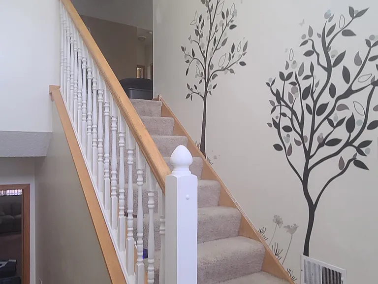 Stairs / Entrance