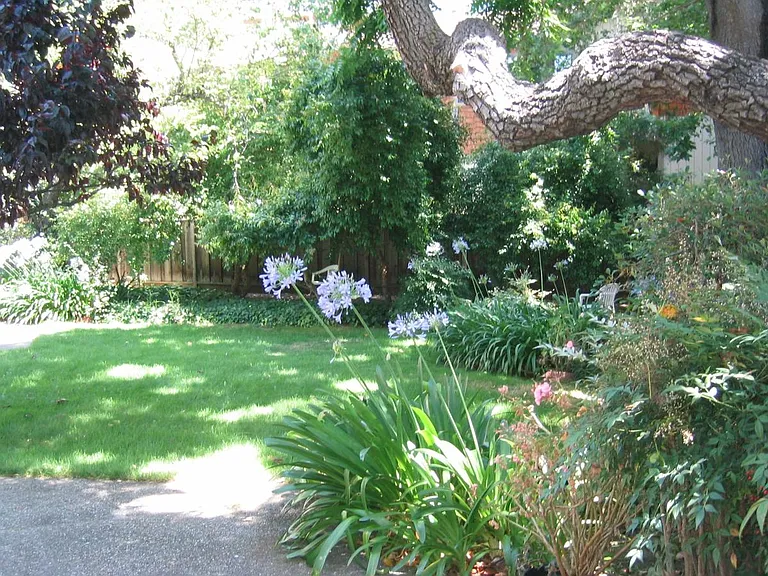 Lovely Garden