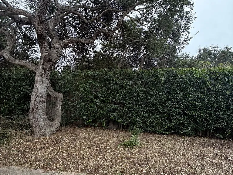 1337 Danielson Rd — Photo 11