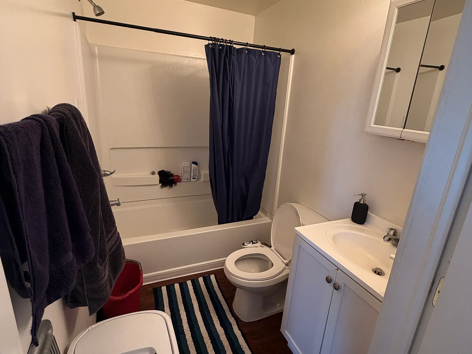 1 bed, 500 sqft, $980 — Photo 4