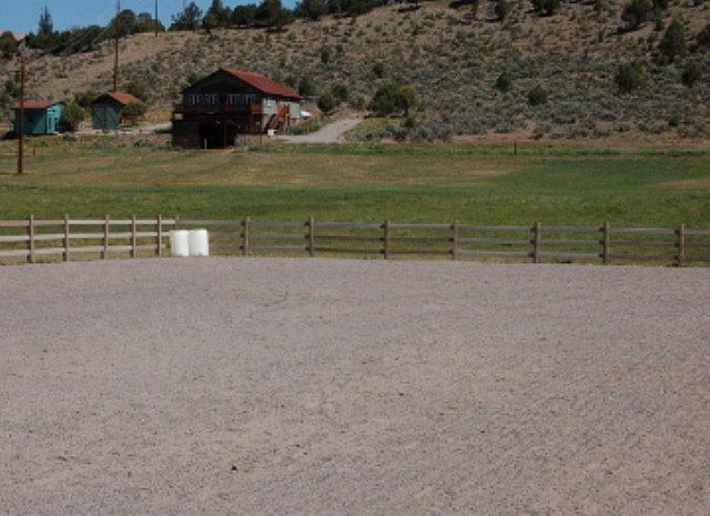 1st image of 2 Percheron Trl