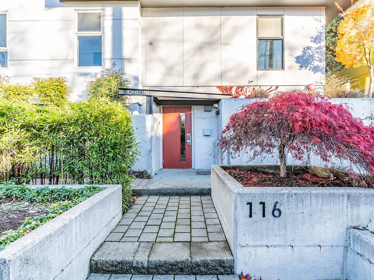 OneOne6 Apartments — Photo 3