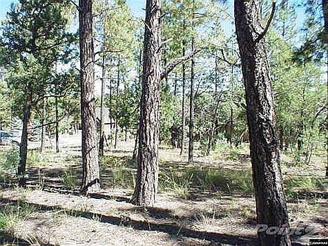 3rd image of 5040 Panorama Ct