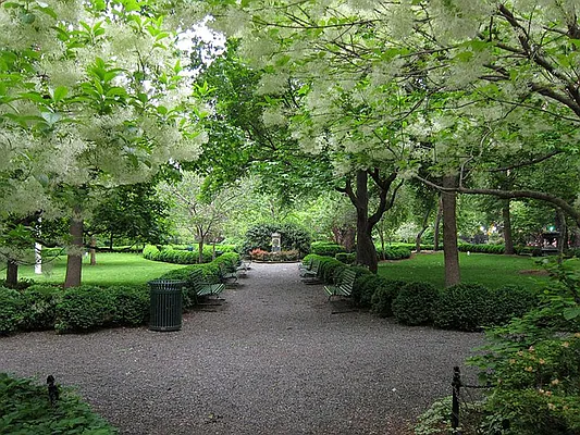 Rented by Compass | media 5