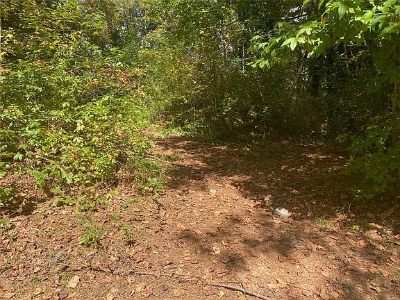 4th image of 919 Little River Ln Lot 95