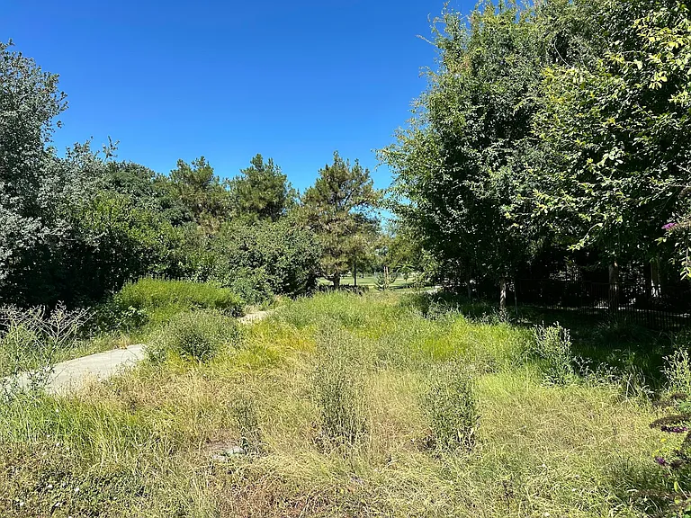 Greenbelt towards Mace Ranch Park