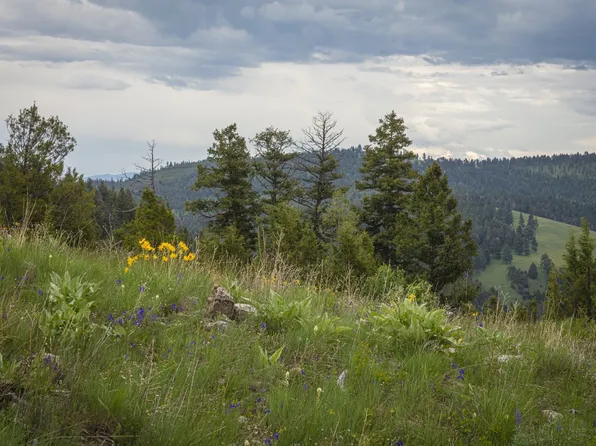 10&11 Tract Bull Gln, Drummond, MT 59832