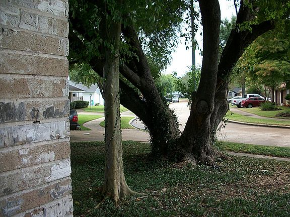 View from front porch