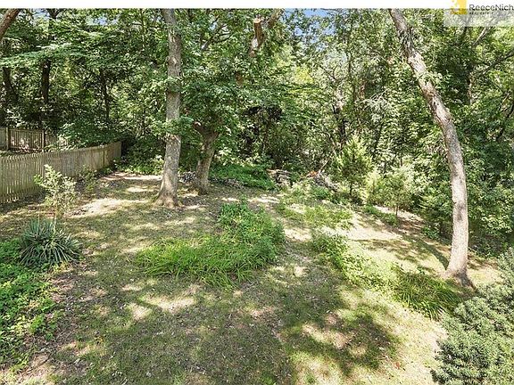 Large Back Yard Full of Wildlife (Deer,Fox,Owls,Chipmunks,Squirrels,Birds)