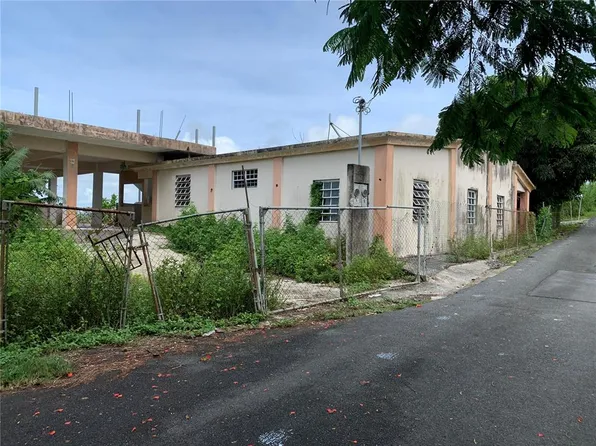 Km 4.8 Bayamon Sector Beatrice Ward 787 Rd, Cidra, PR 00739