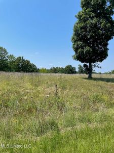 12 Hotophia Hill Dr #1, Batesville, MS, 38606