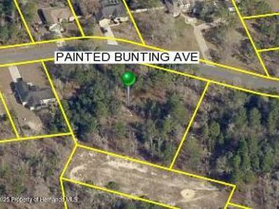0 Painted Bunting Ave, Brooksville, FL, 34614