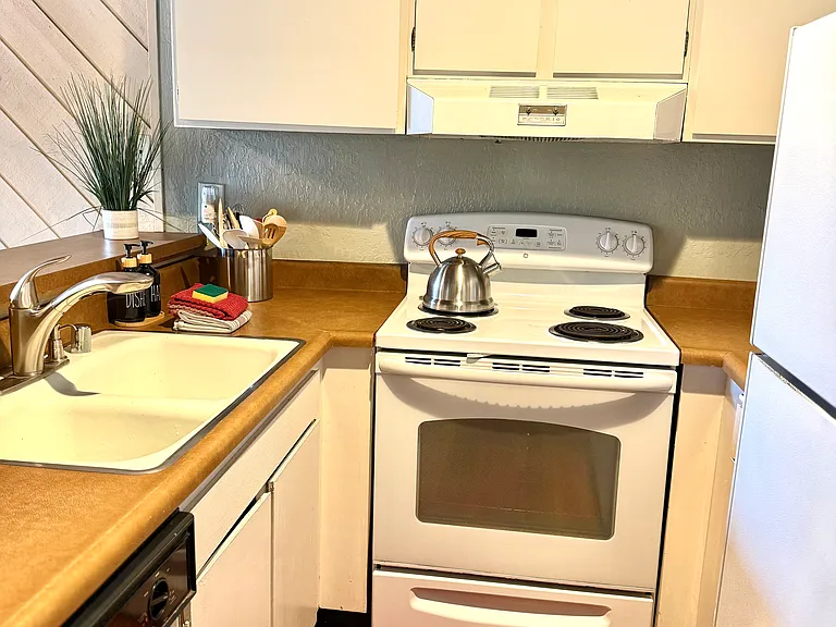 1629 Majestic Pines Dr #61 — Photo 6