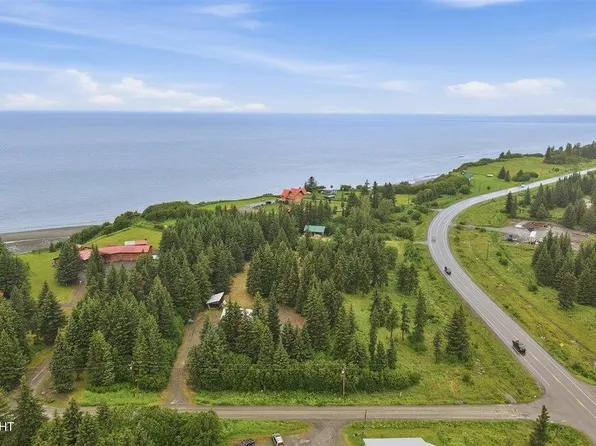 32625 Shorebird Ln, Anchor Pt, AK 99556