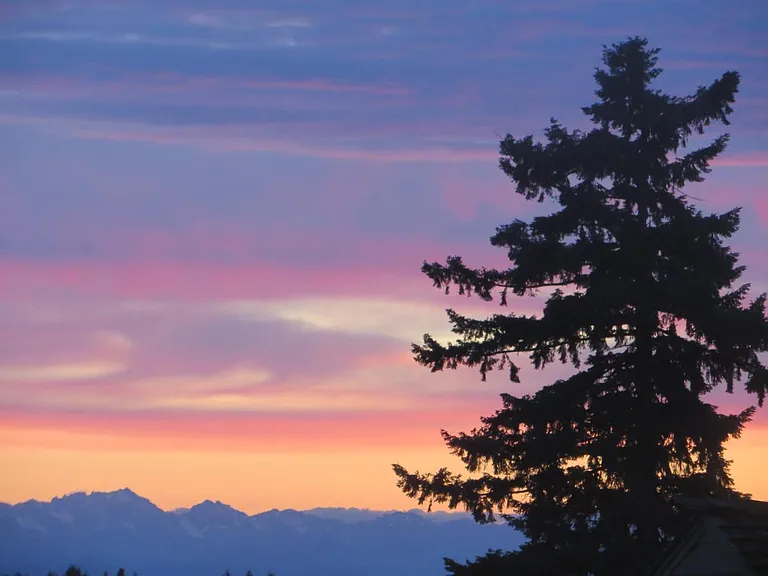 Sunset view of the Olympic mountains from front yard