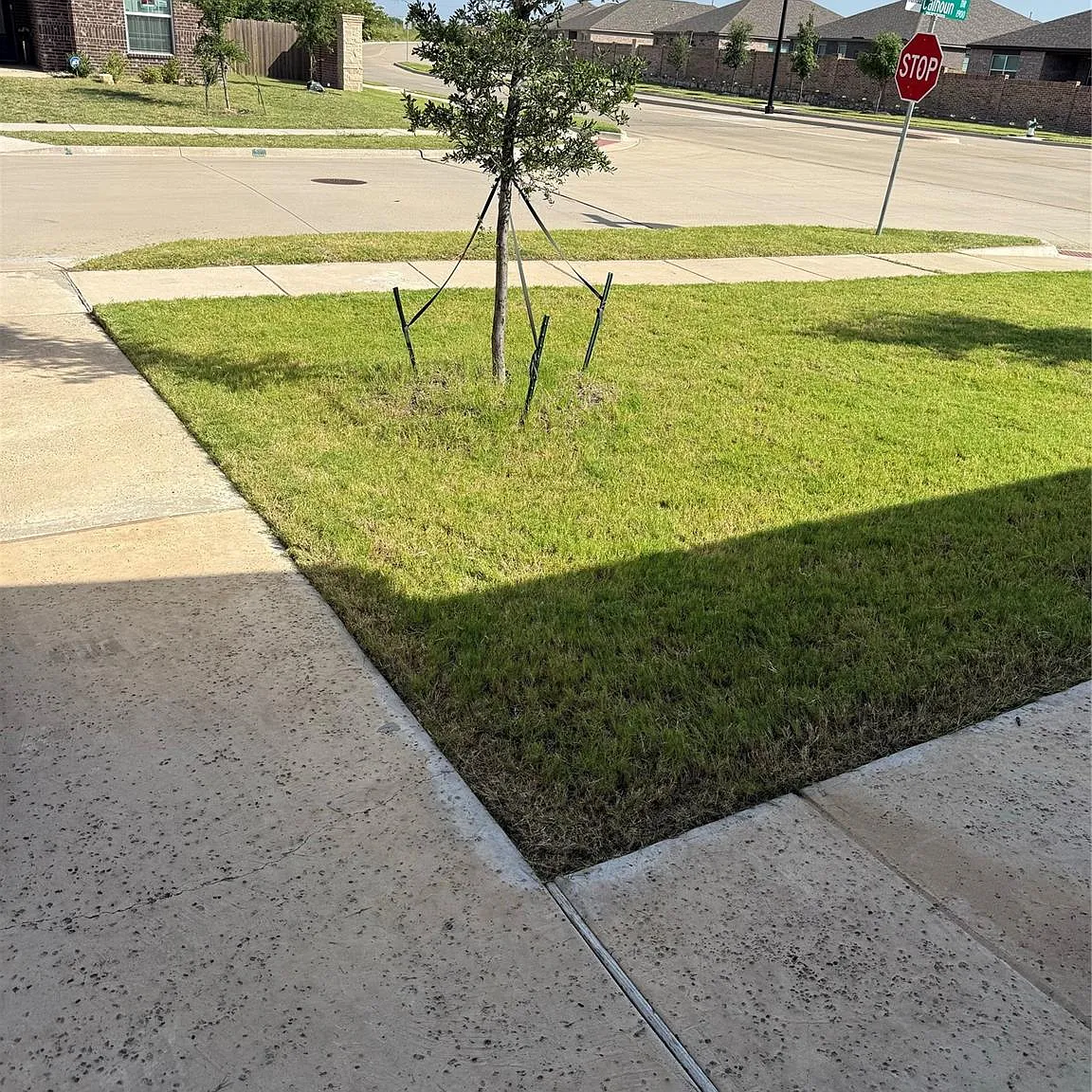 4 bed, 2006 sqft, $2,550 — Photo 3
