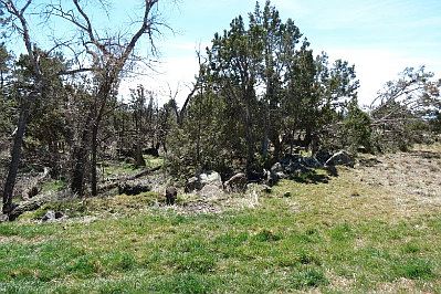 Wooded lot