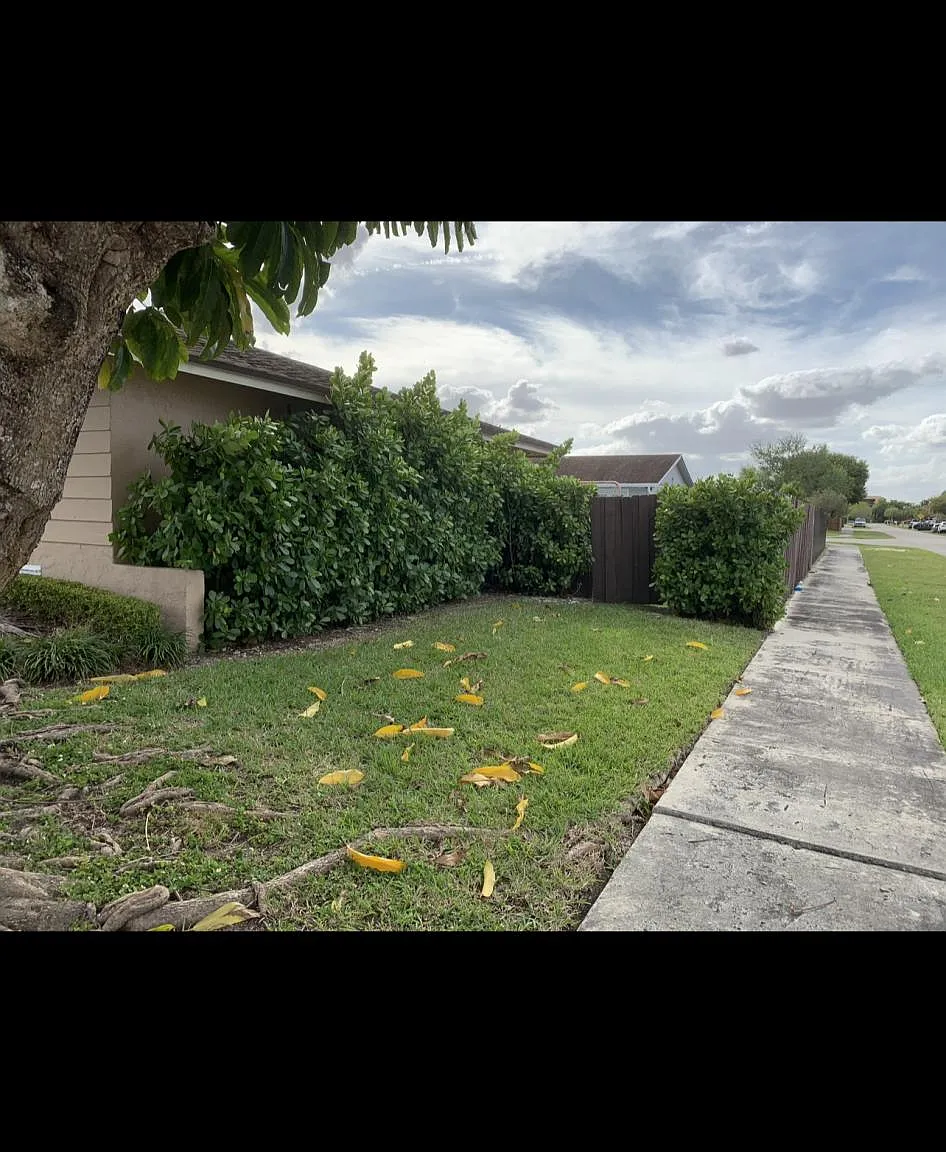4 bed, 2085 sqft, $3,900 — Photo 4