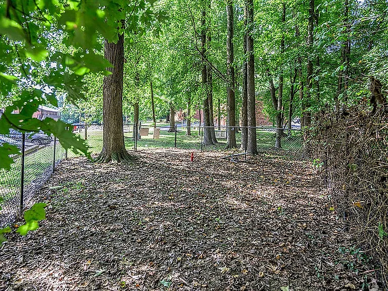 Shady Tree Apartments — Photo 9