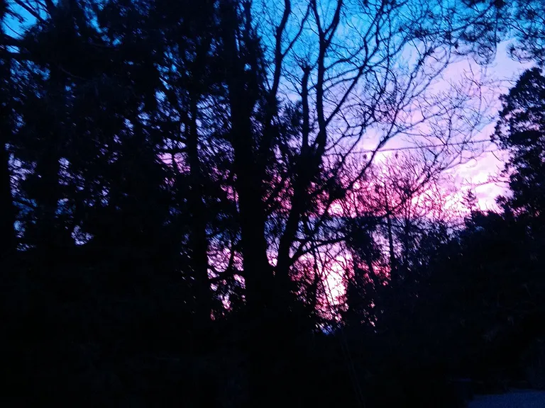 Beautiful sunsets