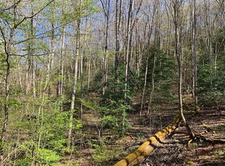 19 Saddlewood Rdg LOT 19, Sylva, NC 28779