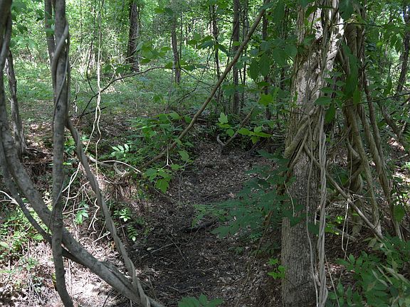 5th image of 0 State Highway 461
