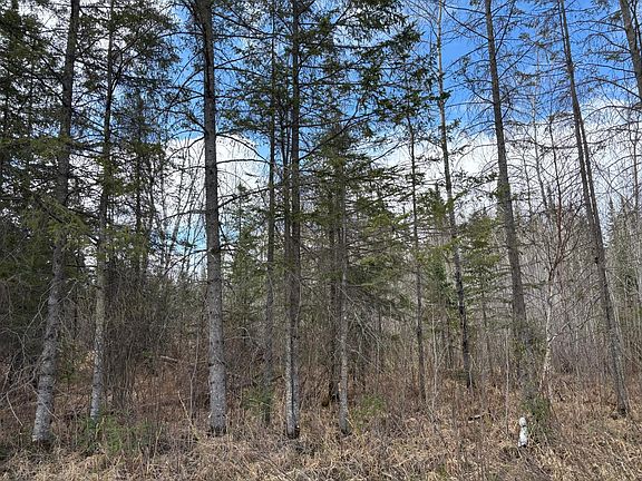 3rd image of 5358 E Four Corners Rd
