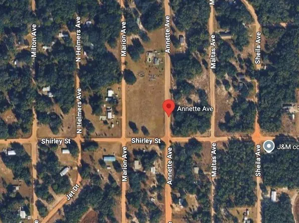 Annette Ave Lot 4, Interlachen, FL 32148