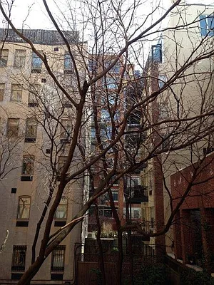 Rented by Elika Associates II, LLC | media 8