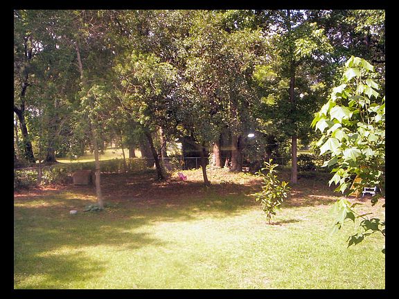 Shady fenced in backyard.