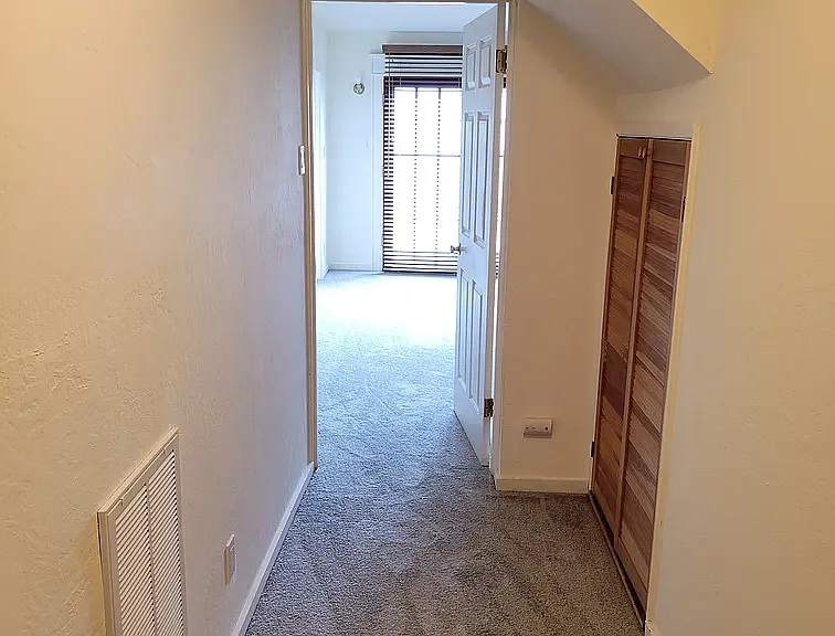 Downstairs hallway and closet (right)