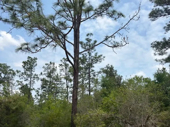 0 Southern Blvd #L4-b203, Alford, FL 32420