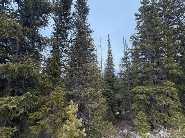 272 Grizzly Dr, Fairplay, CO 80440