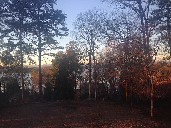 Backyard view