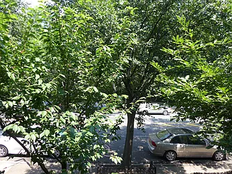 Rented by JMKBK LLC.