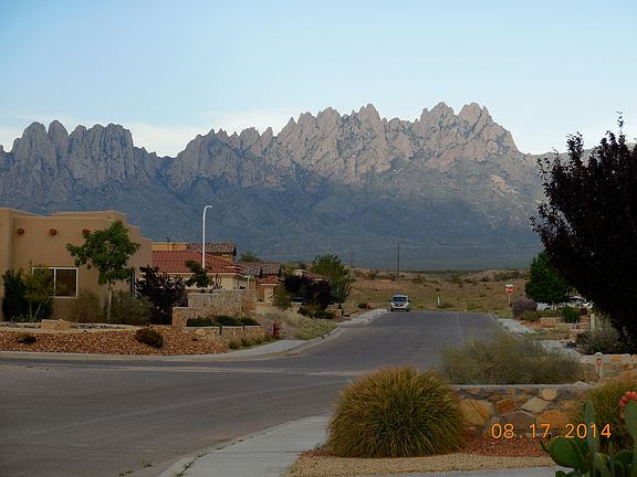 frontyard view