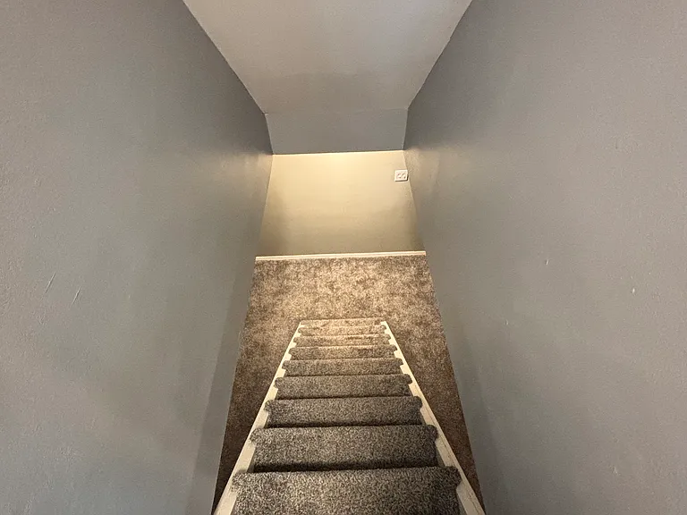 Maple Dr — Photo 10