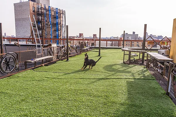 Rented by Nooklyn NYC LLC | media 61